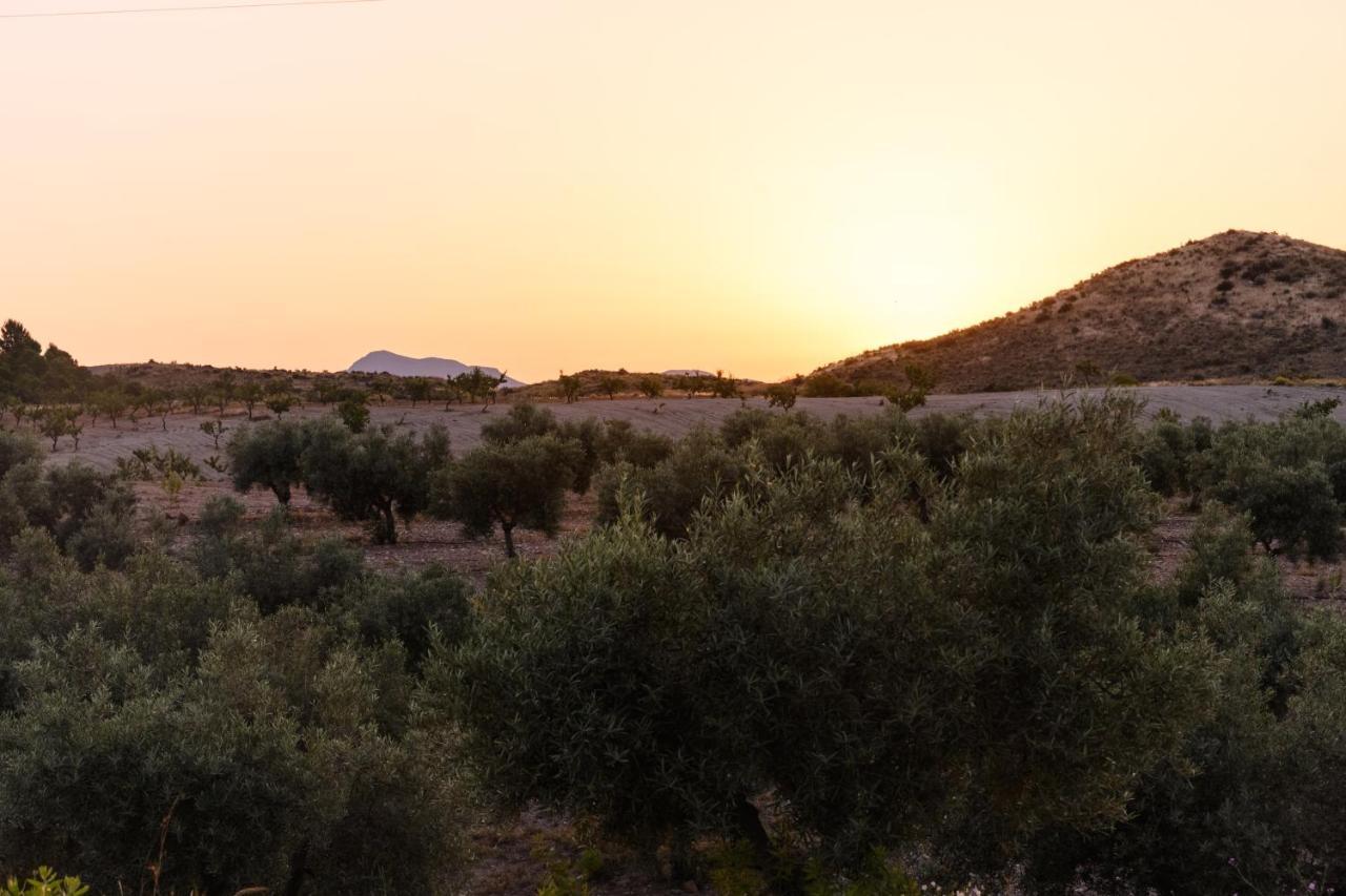 منزل الضيف Complejo Rural Sol De Taberno المظهر الخارجي الصورة