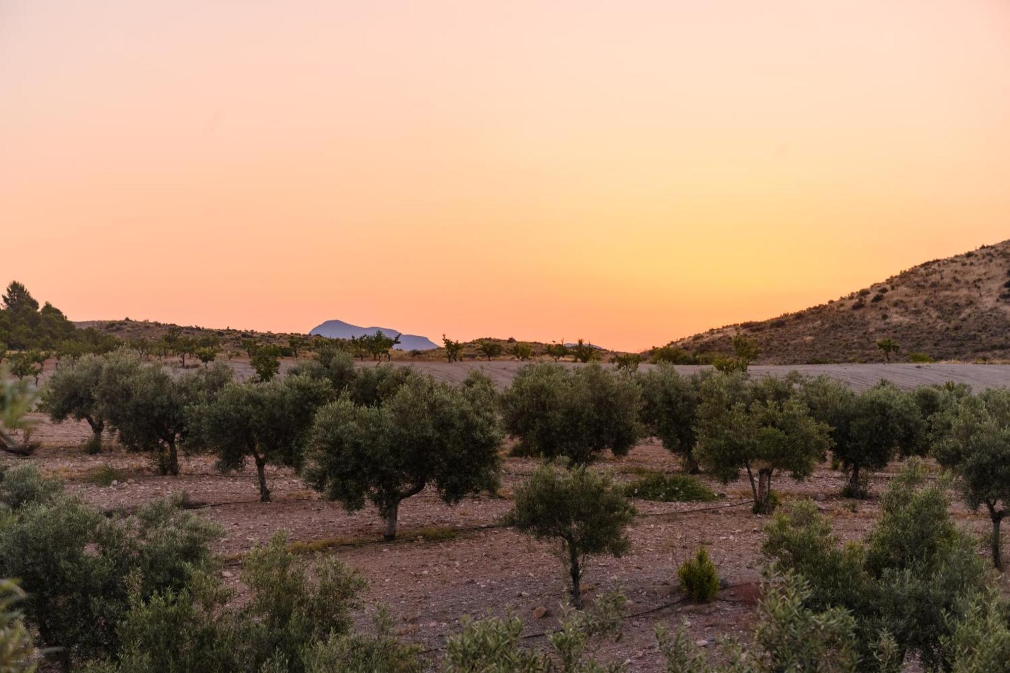 منزل الضيف Complejo Rural Sol De Taberno المظهر الخارجي الصورة
